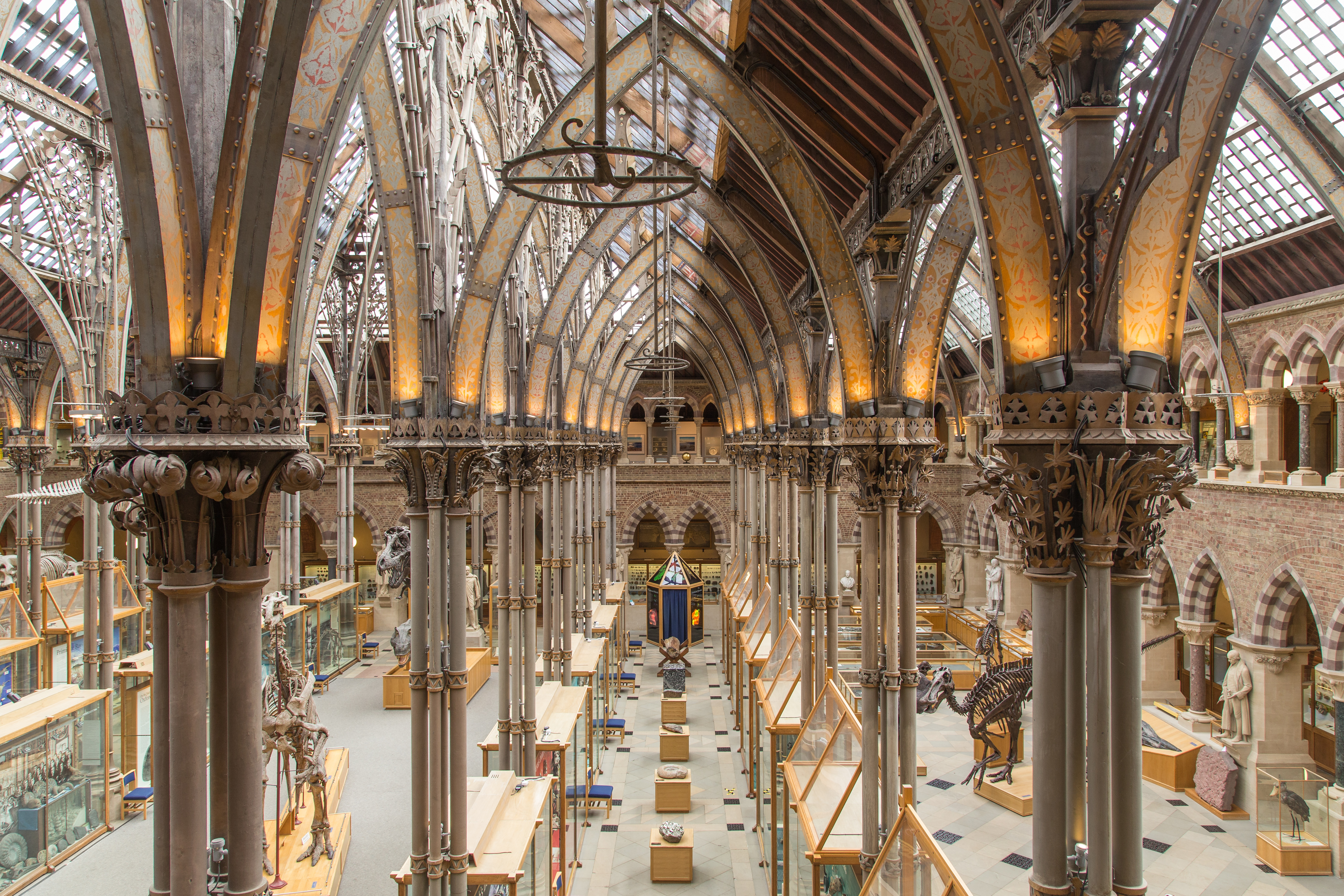A view of the Oxford University of Natural History Museum through its large neo-gothic columns