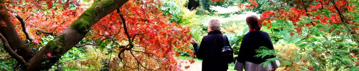 Batsford Arboretum, Gloucestershire - Autumn (c) VisitEngland