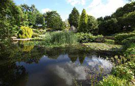 Ness Botanic Garden, Cheshire (c) VisitEngland