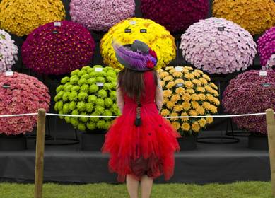 RHS Chelsea Flower Show 2014, London (c)RHS, Justin Tallis