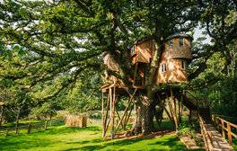 Treetops Treehouse
