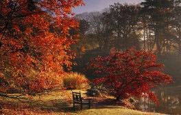Sheffield Park and Garden, East Sussex (c)National Trust Images, Andrew Butler