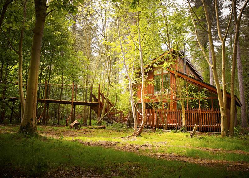 A forest cabin in Thorpe Forest, Norfolk