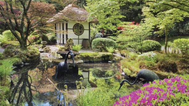 Japanese Garden at Tatton