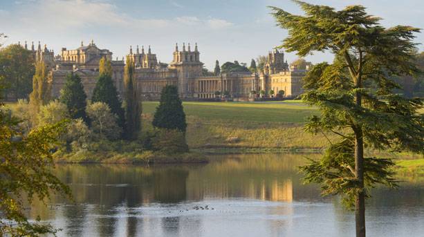 historic-houses-blenheim-palace-park-and