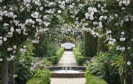 June's Romantic English Rose Gardens