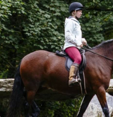 Horse Riding Holidays & Sports in England