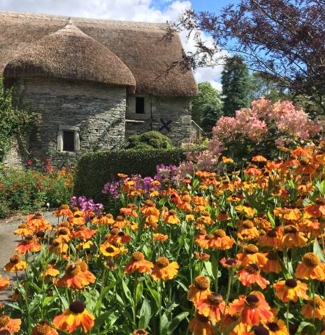 Colourful flowers against a backdrop of a thatched house in The Garden House