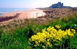 northumberland sites to visit
