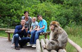 safari zoo in england