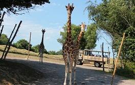 list of uk safari parks