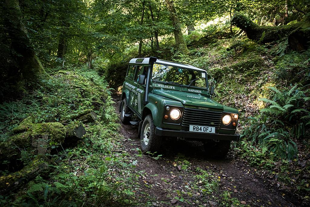 Chasing Exmoor's wildlife by Land Rover safari