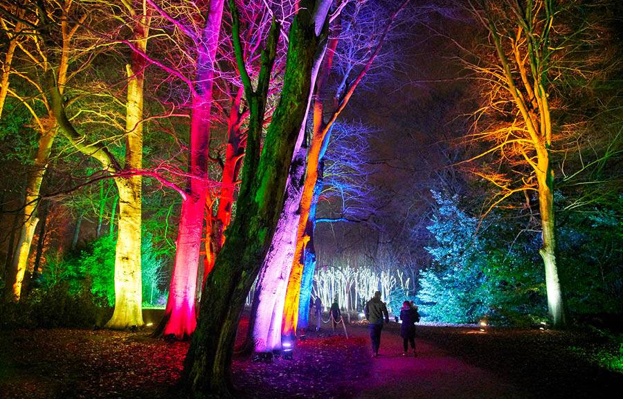 Illuminated trail at Blenheim Palace at Christmas