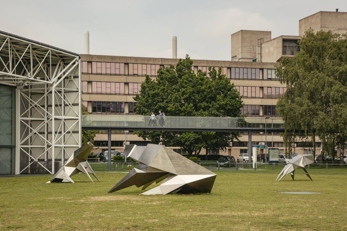 Sainsbury Centre sculptures and buildings of the UEA