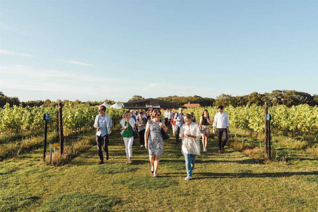 Group of people walking through vineyard