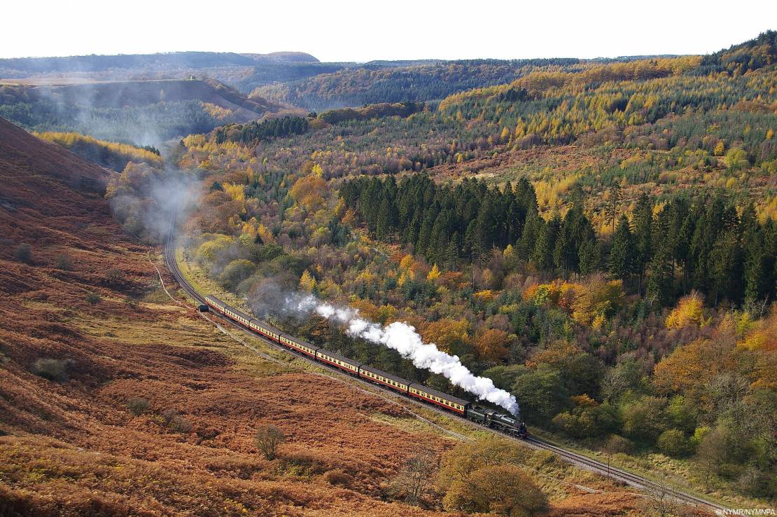 A traditional steam train in the North York Moors National Park.