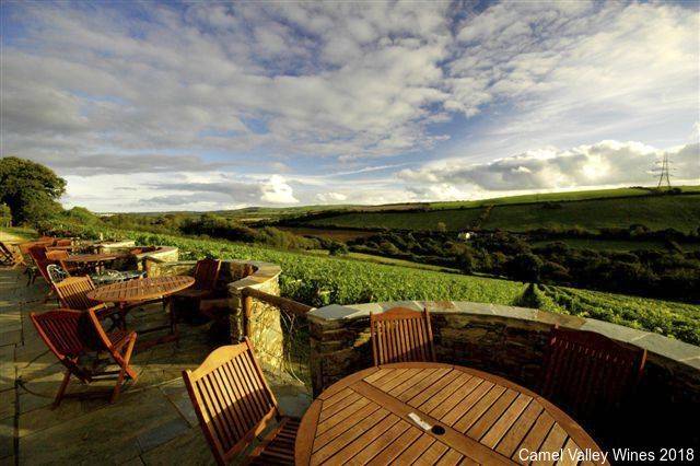 Outdoor tables overlooking vineyard in Cornwall