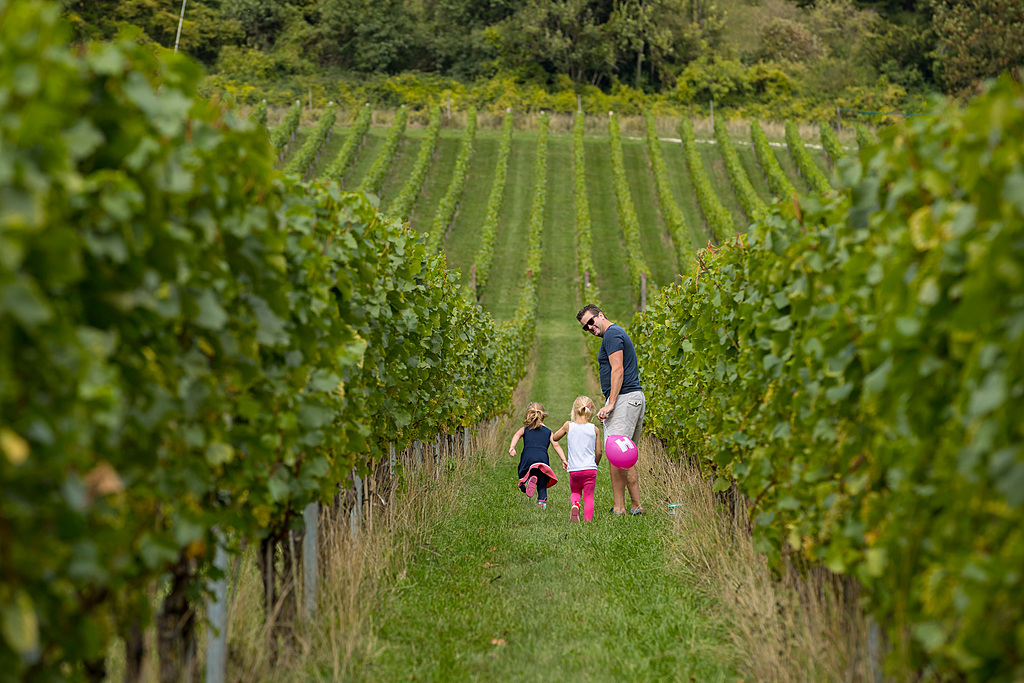 Father and two children fruit picking in field