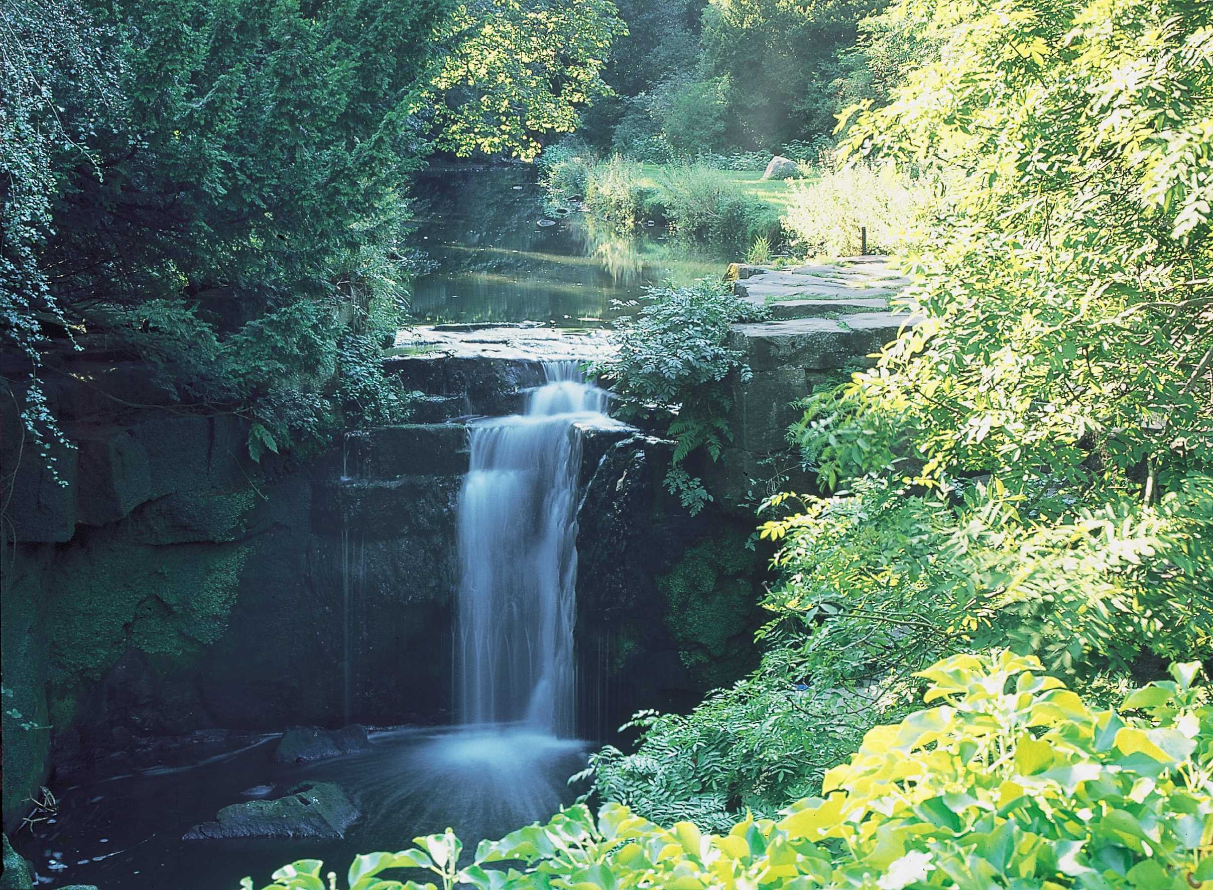 Waterfall at Jesmond Dene park
