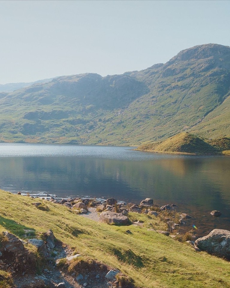 Three men and a woman looking over a lake in the summer