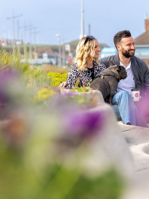 A couple with their dog sitting on a seaside chair enjoying the view.