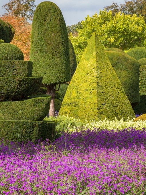 Colourful flower beds in a bright garden with trimmed hedges