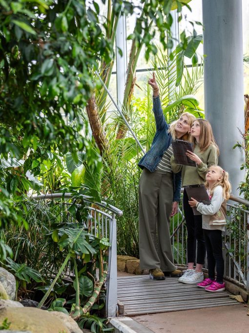 Mum and two girls walking through an enclosed tropical winter garden.