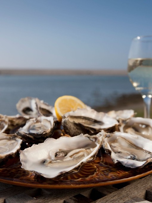 Plate of shucked oysters with a slice of lemon on table