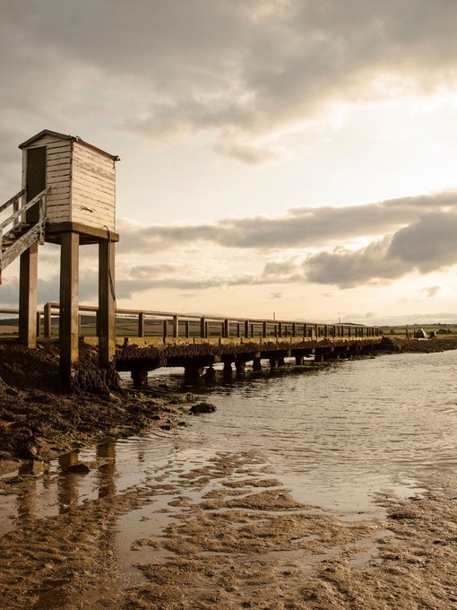 The Holy Island Causeway on the St Cuthbert's Way, Holy Island, Lindisfarne, Northumberland.