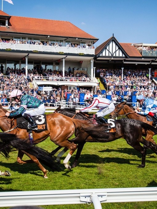Horses racing past the grandstand at Chester Racecourse