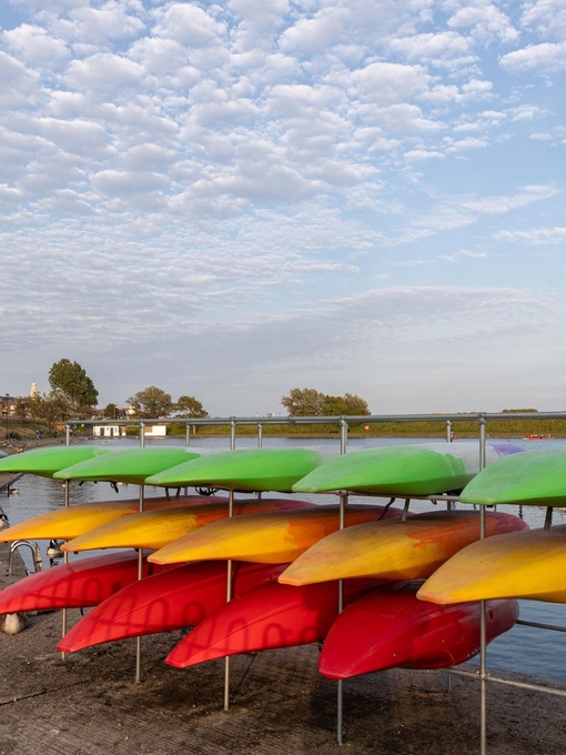 Multi coloured kayaks stacked on the shore with geese in the background