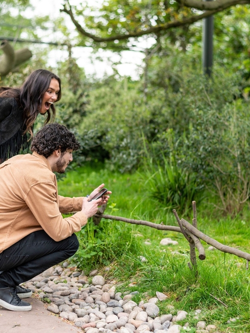 A woman and a man watch a lemur with delight in a zoo