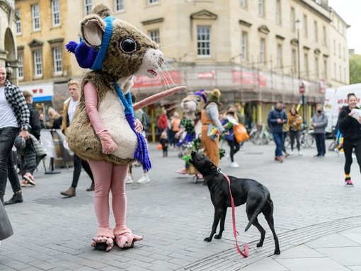 A dog and a performer in a mouse costume as part of Bath Fringe Festival