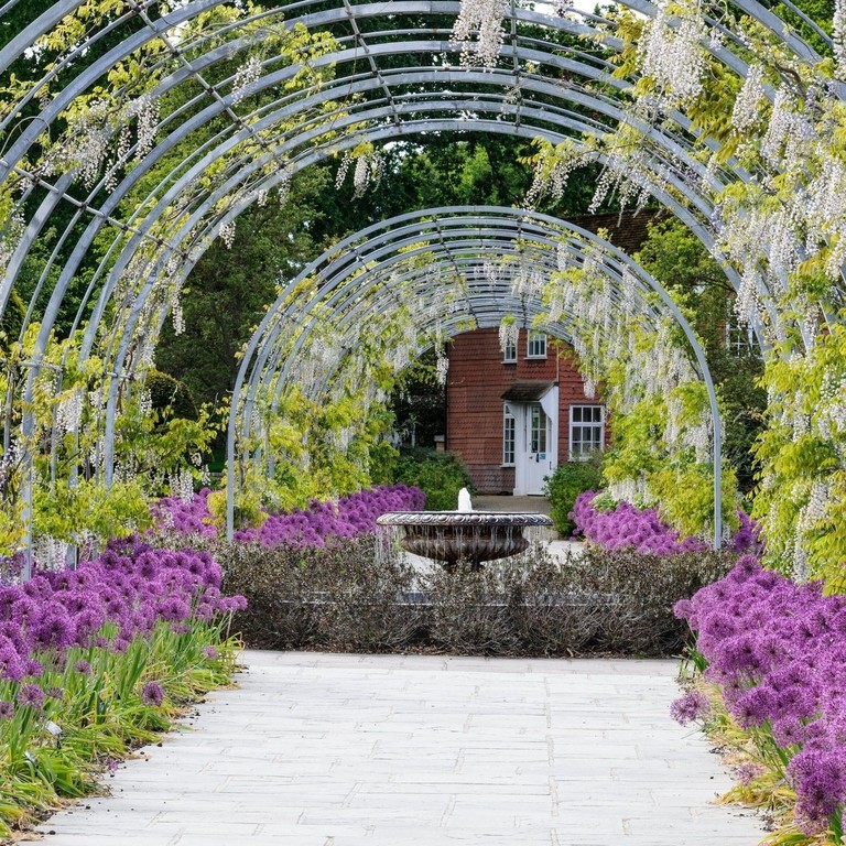 View down a wisteria walkway and to a large urn fountain