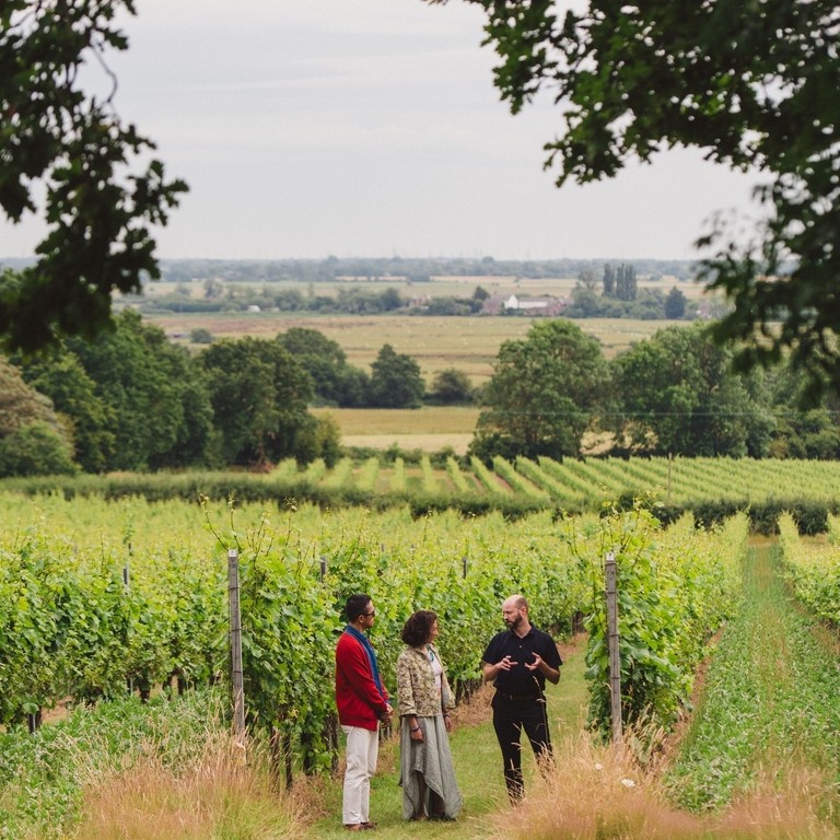 A man and a woman on a tour at a vineyard