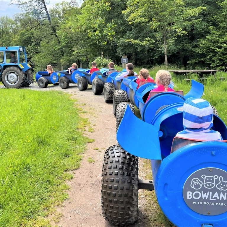 Children being driven around Bowland Wild Boar Park on a land train