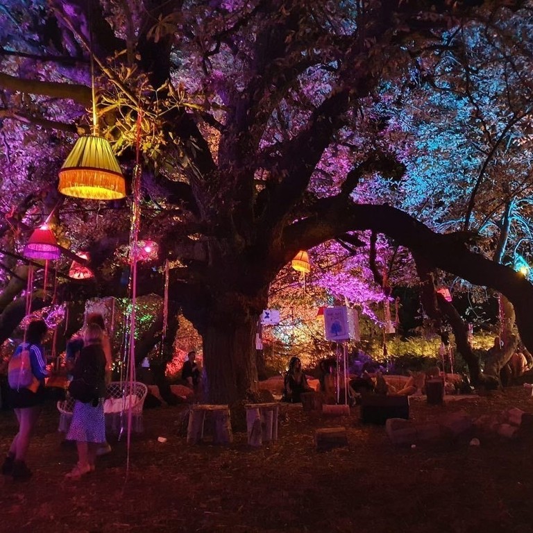 People standing under tree at night lit up by lanterns