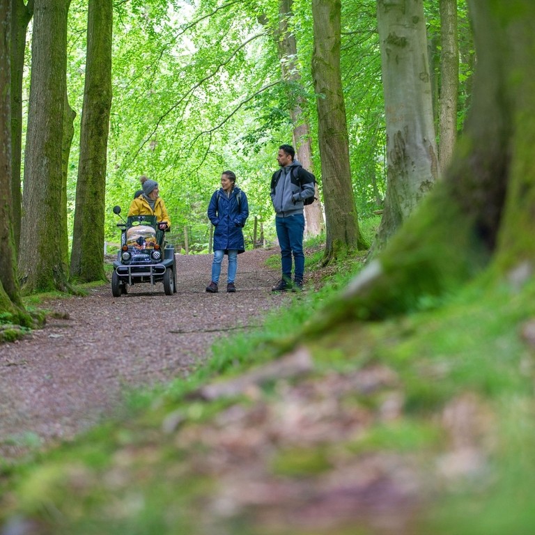 A man and two women enjoy the outdoors in woodland