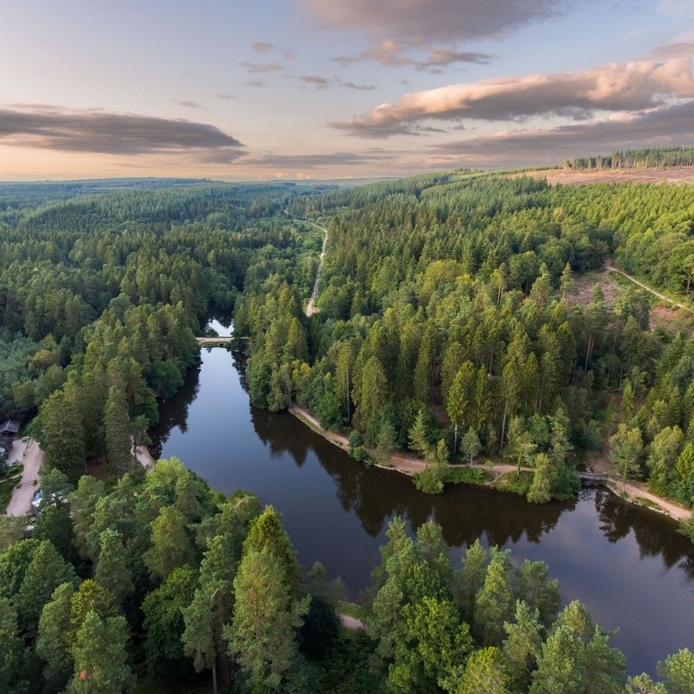 An aerial view of of a large forest and its winding river.
