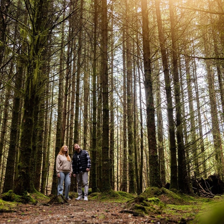 A man and a woman stand among tall trees in a forest