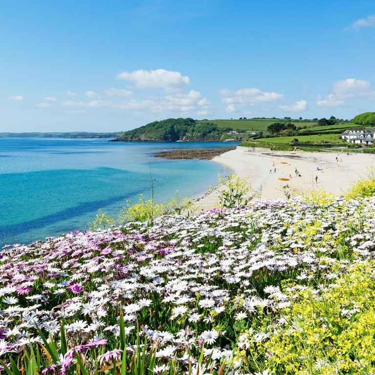 Flower fields leading up to a pretty beach and turquoise sea