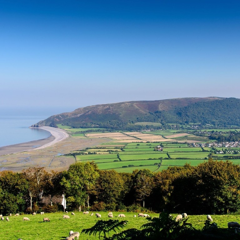 View of the coast with sheep grazing nearby