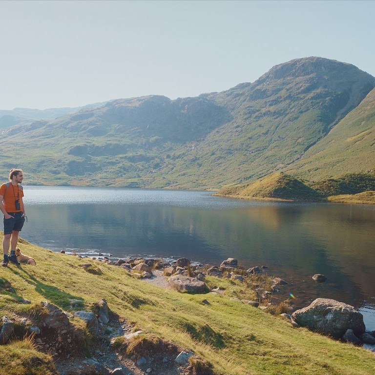 Three men and a woman looking over a lake in the summer