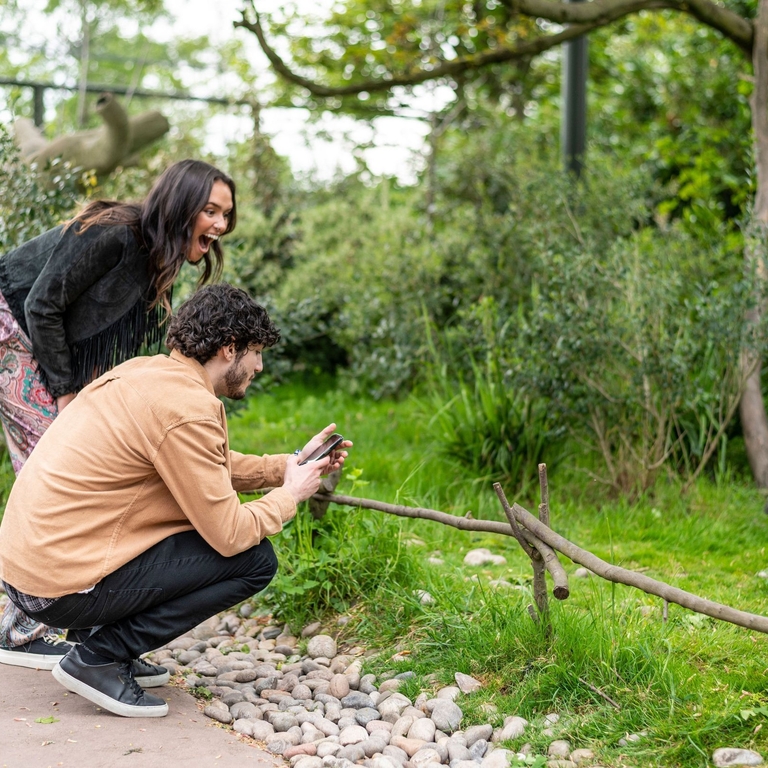 A woman and a man watch a lemur with delight in a zoo