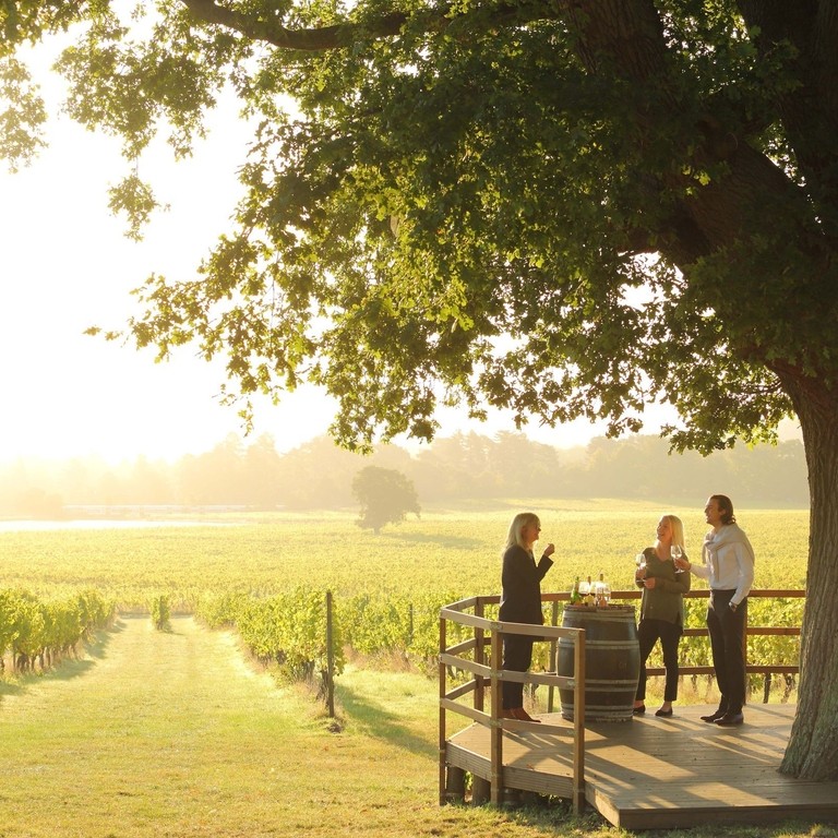Close up of people standing under tree having a private wine tasting tour