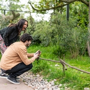 A woman and a man watch a lemur with delight in a zoo